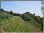 foto Colle San Benedetto